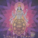 Vishnu Avatars